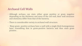 Archaeal Cell Walls
• Although archaea can stain either gram positive or gram negative
depending on the thickness and mass of the cell wall, their wall structure
and chemistry differ from that of the bacteria.
• There is considerable variety in archaeal wall structure.
• Many gram- positive archaea have a wall with a single thick homogeneous
layer resembling that in gram-positive bacteria and thus stain gram
positive .
 