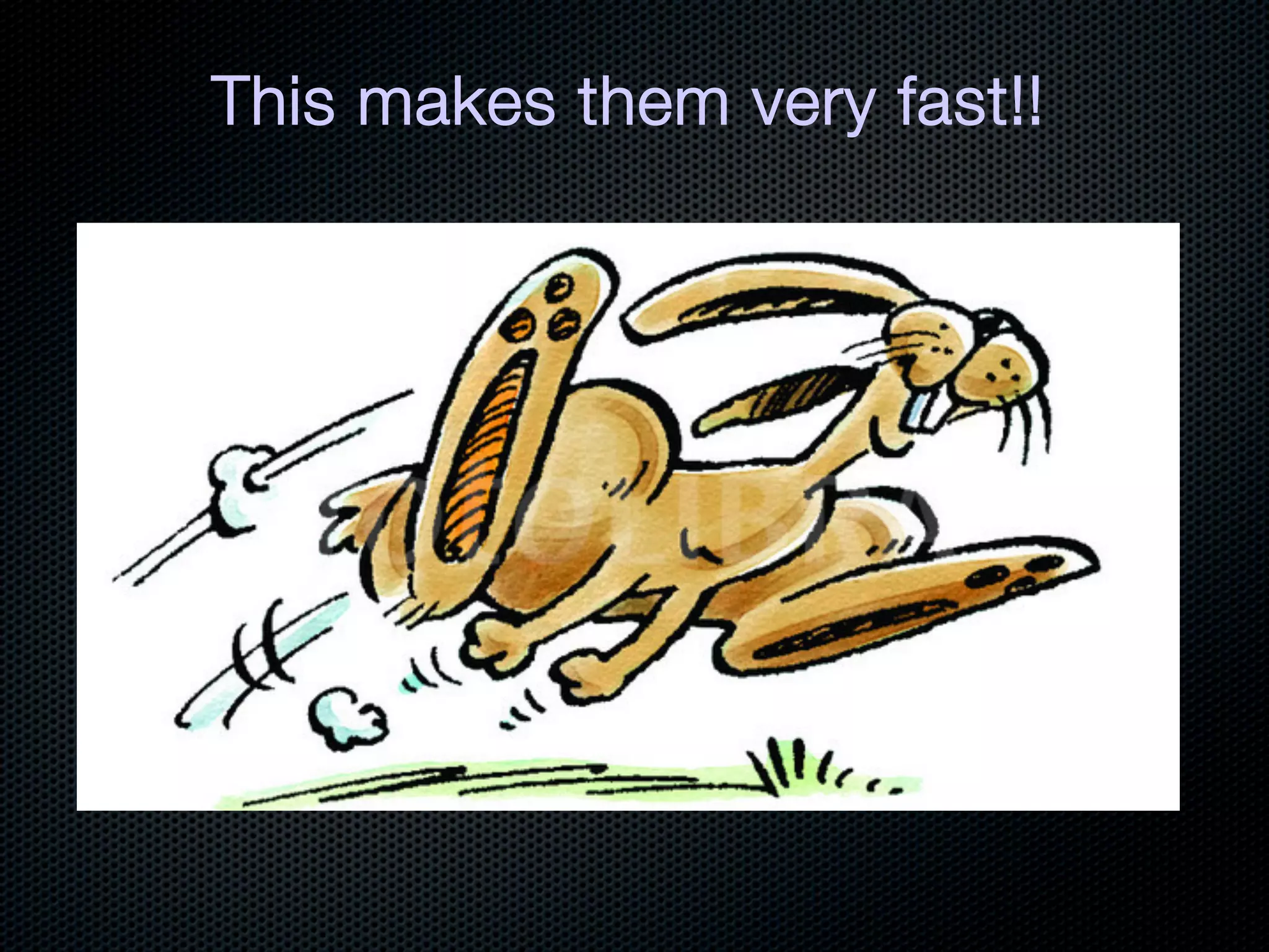 This makes them very fast!!
 