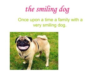 the smiling dog Once upon a time a  family with a very smiling dog.   
