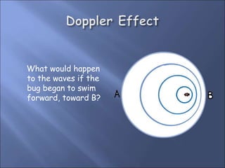 What would happen
to the waves if the
bug began to swim
forward, toward B?
 