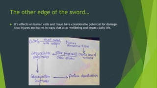 The double edged sword of calcium hydroxide | PPTX
