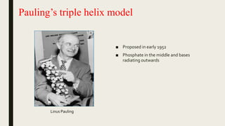 Pauling’s triple helix model
■ Proposed in early 1952
■ Phosphate in the middle and bases
radiating outwards
Linus Pauling
 