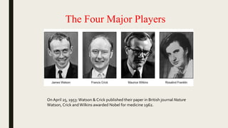 The Four Major Players
On April 25, 1953: Watson & Crick published their paper in British journal Nature
Watson, Crick and Wilkins awarded Nobel for medicine 1962.
 