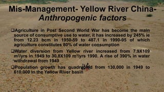 Mis-Management- Yellow River China-
Anthropogenic factors
Agriculture in Post Second World War has become the main
source of consumptive use to water, it has increased by 245% ie
from 12.23 bcm in 1950-59 to 487.1 in 1990-95 of which
agriculture constitutes 80% of water consumption
Water diversion from Yellow river increased from 7.9X109
m3/yrs in 1949 to 30.8X109 m3/yrs 1990. A rise of 390% in water
withdrawal from 1949
Population growth has quadrupled from 130,000 in 1949 to
610,000 in the Yellow River basin
 