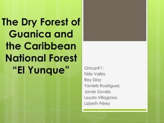 The Dry Forest of
Guanica and
the Caribbean
National Forest
“El Yunque” Group#1:
Félix Vallés
Rey Díaz
Yanielis Rodriguez
Javier Zavala
Leyda Villagrasa
Lizbeth Pérez
 