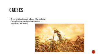  Overproduction of wheat (the natural
drought-resistant grasses were
replaced with this)
 