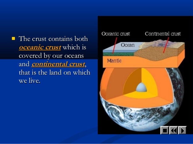 the dynamic crust