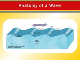 The dynamic ocean by Jan Co | PPT