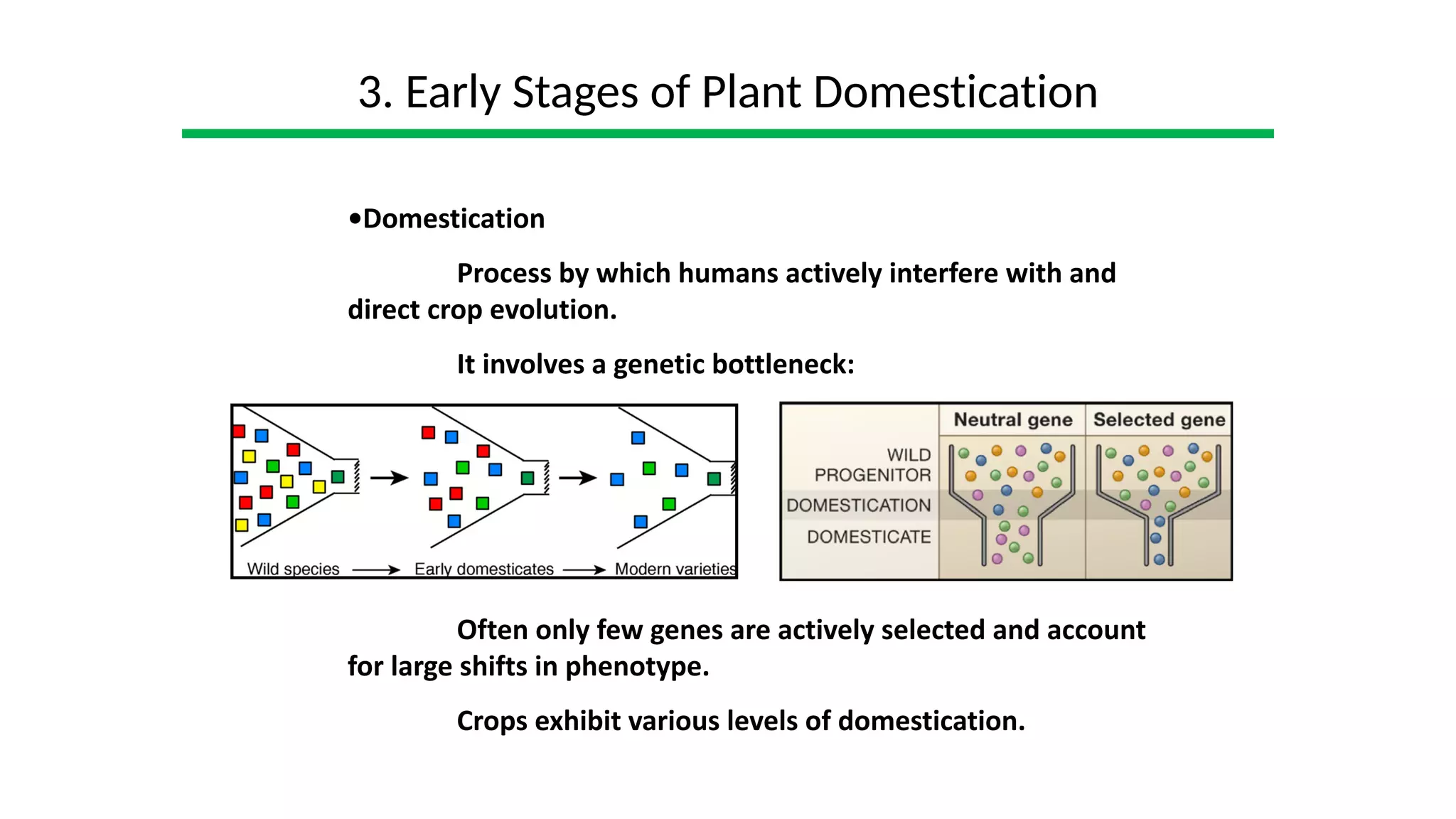 The dynamics of plant domestication.pdf