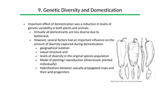 The dynamics of plant domestication.pdf