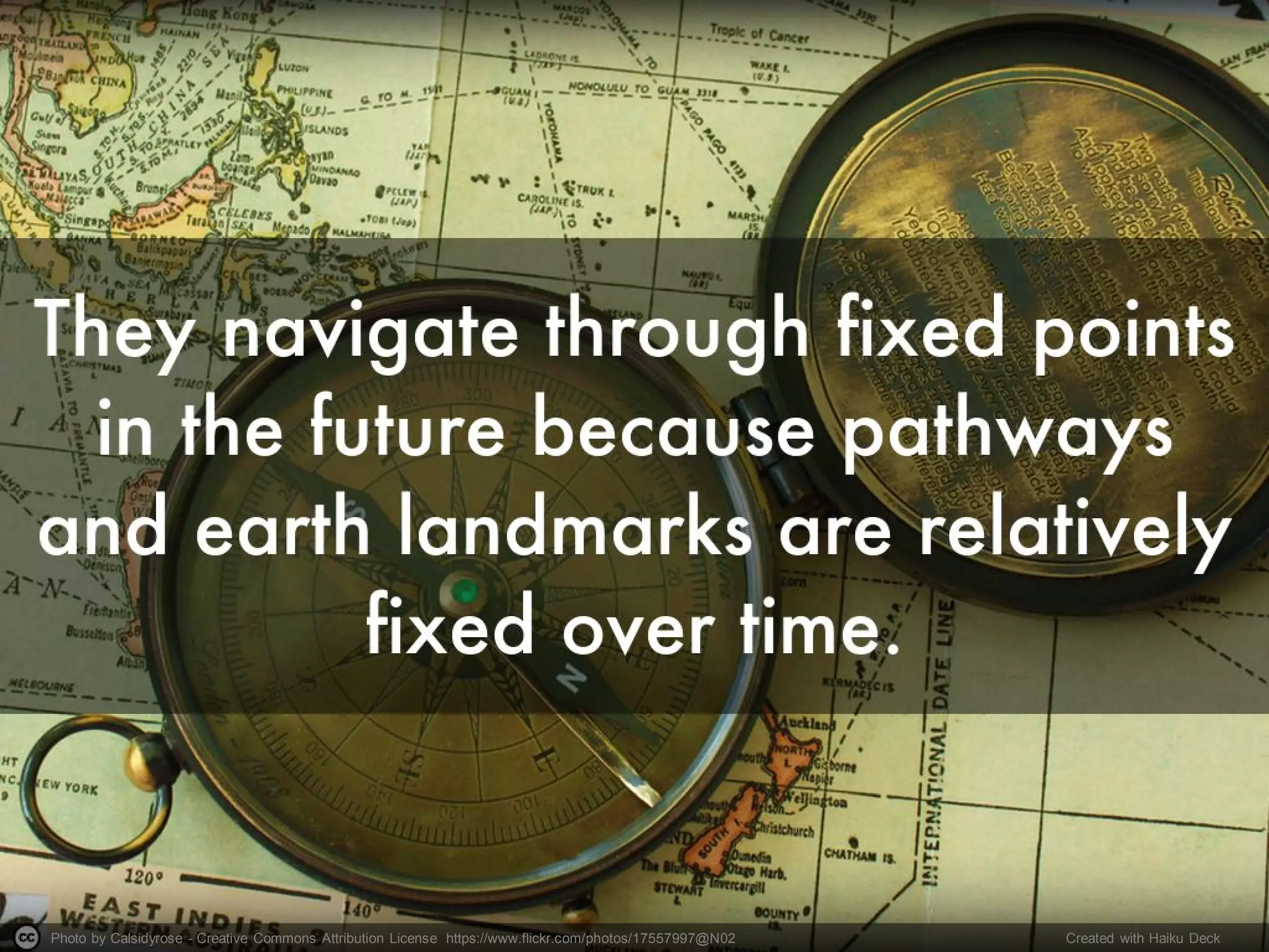 Photo by Calsidyrose - Creative Commons Attribution License https://www.flickr.com/photos/17557997@N02 Created with Haiku Deck
 