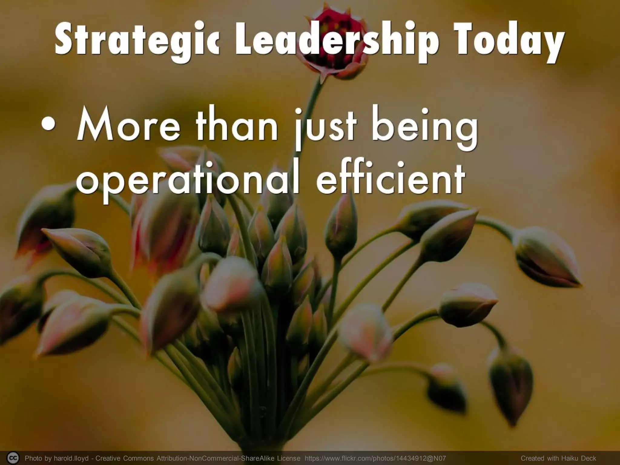 Photo by harold.lloyd - Creative Commons Attribution-NonCommercial-ShareAlike License https://www.flickr.com/photos/14434912@N07 Created with Haiku Deck
 