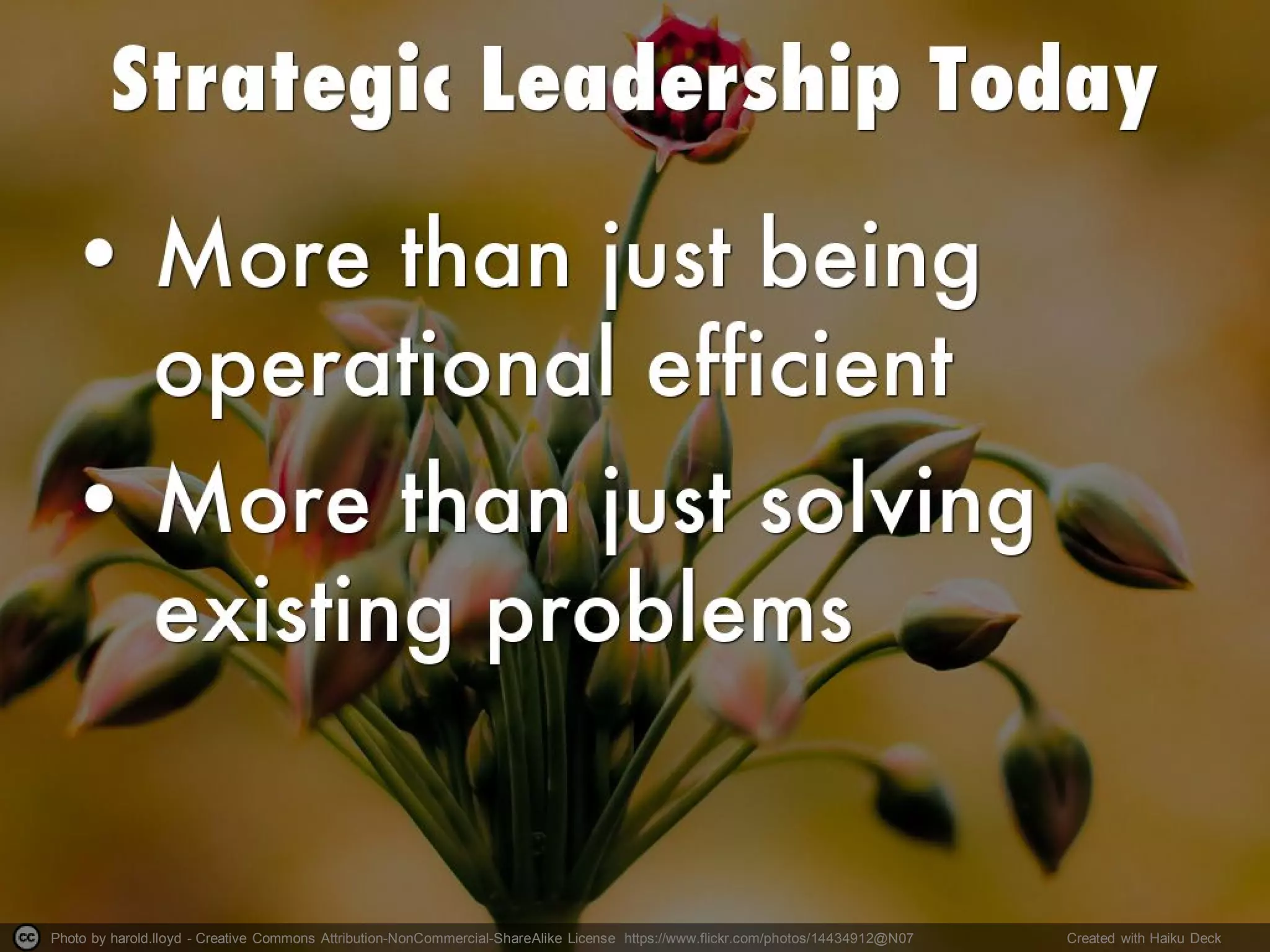 Photo by harold.lloyd - Creative Commons Attribution-NonCommercial-ShareAlike License https://www.flickr.com/photos/14434912@N07 Created with Haiku Deck
 