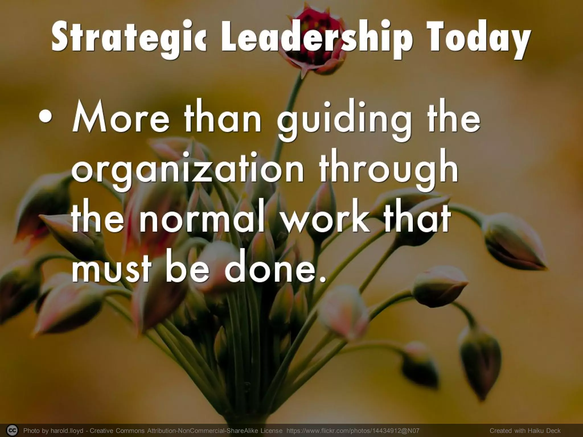 Photo by harold.lloyd - Creative Commons Attribution-NonCommercial-ShareAlike License https://www.flickr.com/photos/14434912@N07 Created with Haiku Deck
 