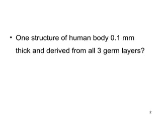 • One structure of human body 0.1 mm
thick and derived from all 3 germ layers?
2
 