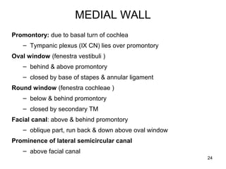 MEDIAL WALL
Promontory: due to basal turn of cochlea
– Tympanic plexus (IX CN) lies over promontory
Oval window (fenestra vestibuli )
– behind & above promontory
– closed by base of stapes & annular ligament
Round window (fenestra cochleae )
– below & behind promontory
– closed by secondary TM
Facial canal: above & behind promontory
– oblique part, run back & down above oval window
Prominence of lateral semicircular canal
– above facial canal
24
 