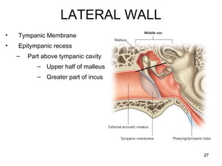 LATERAL WALL
• Tympanic Membrane
• Epitympanic recess
– Part above tympanic cavity
– Upper half of malleus
– Greater part of incus
27
 
