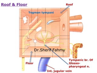 Roof
Tegman tympani
Floor
Int. jugular vein
Tympanic br. Of
Glosso-
pharyngeal n.
Roof & Floor
Dr.Sherif Fahmy
 