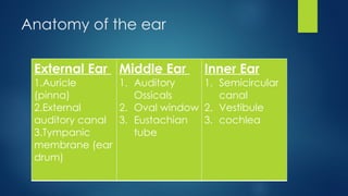 The Ear Anatomy Speech Language Pathology-1 lecture 11.pptx