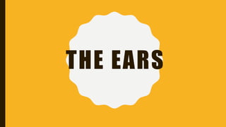 THE EARS
 