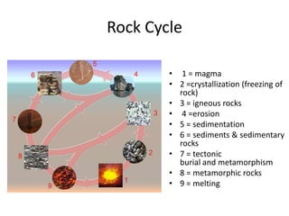Rock Cycle

        • 1 = magma
        • 2 =crystallization (freezing of
          rock)
        • 3 = igneous rocks
        • 4 =erosion
        • 5 = sedimentation
        • 6 = sediments & sedimentary
          rocks
        • 7 = tectonic
          burial and metamorphism
        • 8 = metamorphic rocks
        • 9 = melting
 