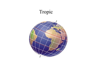 Tropic
 