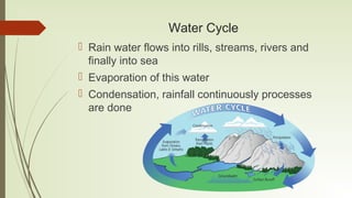 Water Cycle
 Rain water flows into rills, streams, rivers and
finally into sea
 Evaporation of this water
 Condensation...
