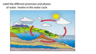 Label the different processes and phases
of water involve in the water cycle
 