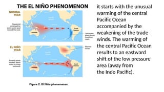 it starts with the unusual
warming of the central
Pacific Ocean
accompanied by the
weakening of the trade
winds. The warming of
the central Pacific Ocean
results to an eastward
shift of the low pressure
area (away from
the Indo Pacific).
 