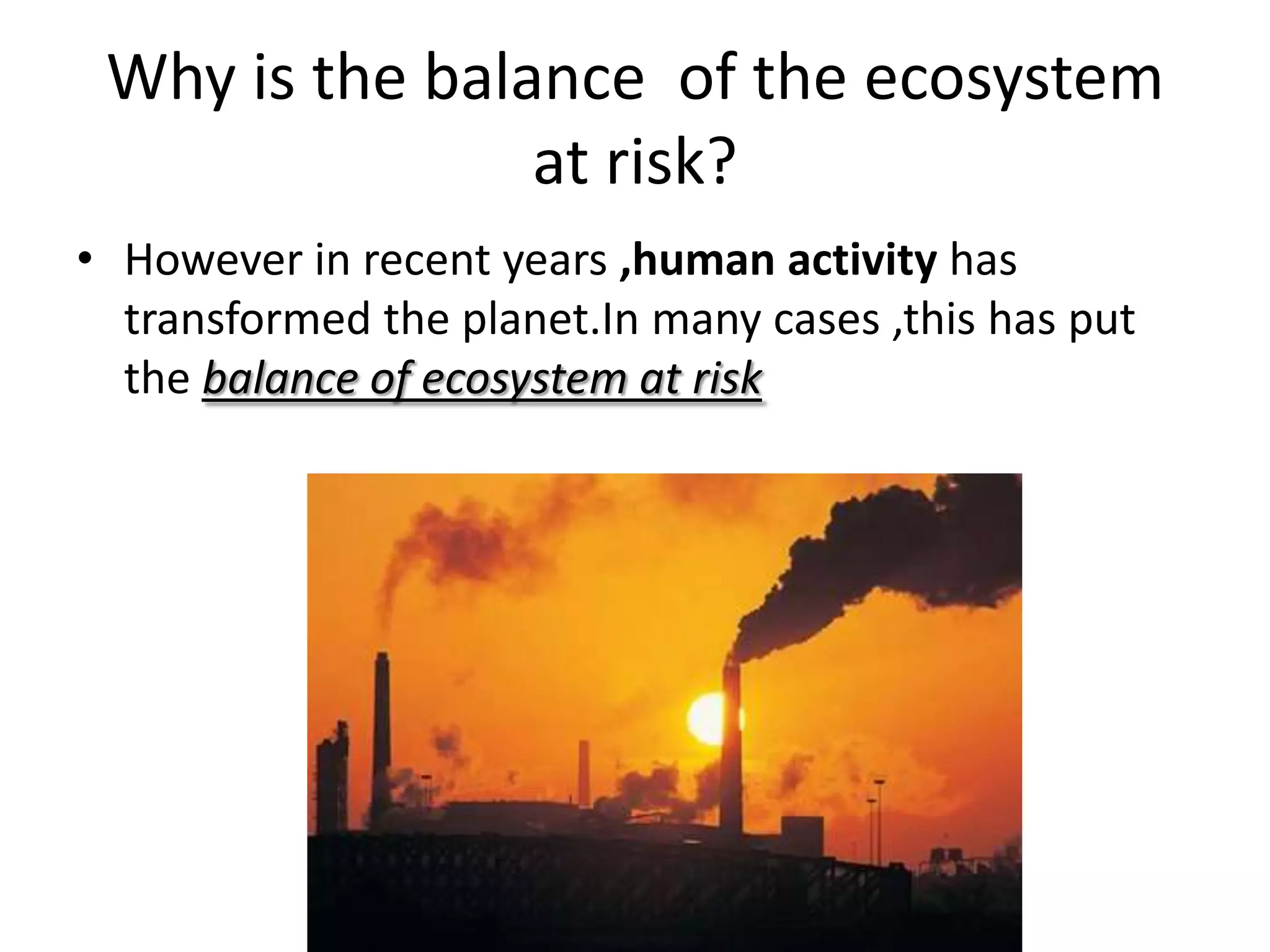Why is the balance of the ecosystem
at risk?
• However in recent years ,human activity has
transformed the planet.In many cases ,this has put
the balance of ecosystem at risk