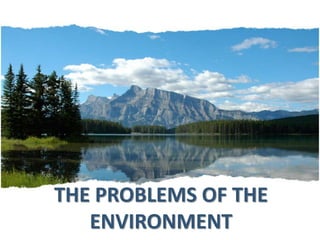 THE PROBLEMS OF THE
ENVIRONMENT
 
