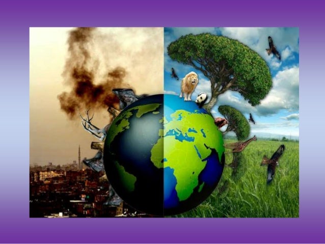 a discussion on the pollution on planet earth Although the top 10 environmental issues that face the planet can be at best subjective we a discussion on the pollution on planet earth have attempted to aggregate. a discussion on the pollution on planet earth Although the top 10 environmental issues that face the planet can be at best subjective we a discussion on the pollution on planet earth have attempted to aggregate.