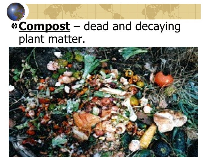 The Earth’S Crust 9 Soil