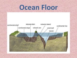 Ocean Floor
 