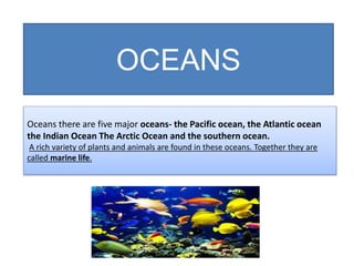 OCEANS
Oceans there are five major oceans- the Pacific ocean, the Atlantic ocean
the Indian Ocean The Arctic Ocean and the southern ocean.
A rich variety of plants and animals are found in these oceans. Together they are
called marine life.
 