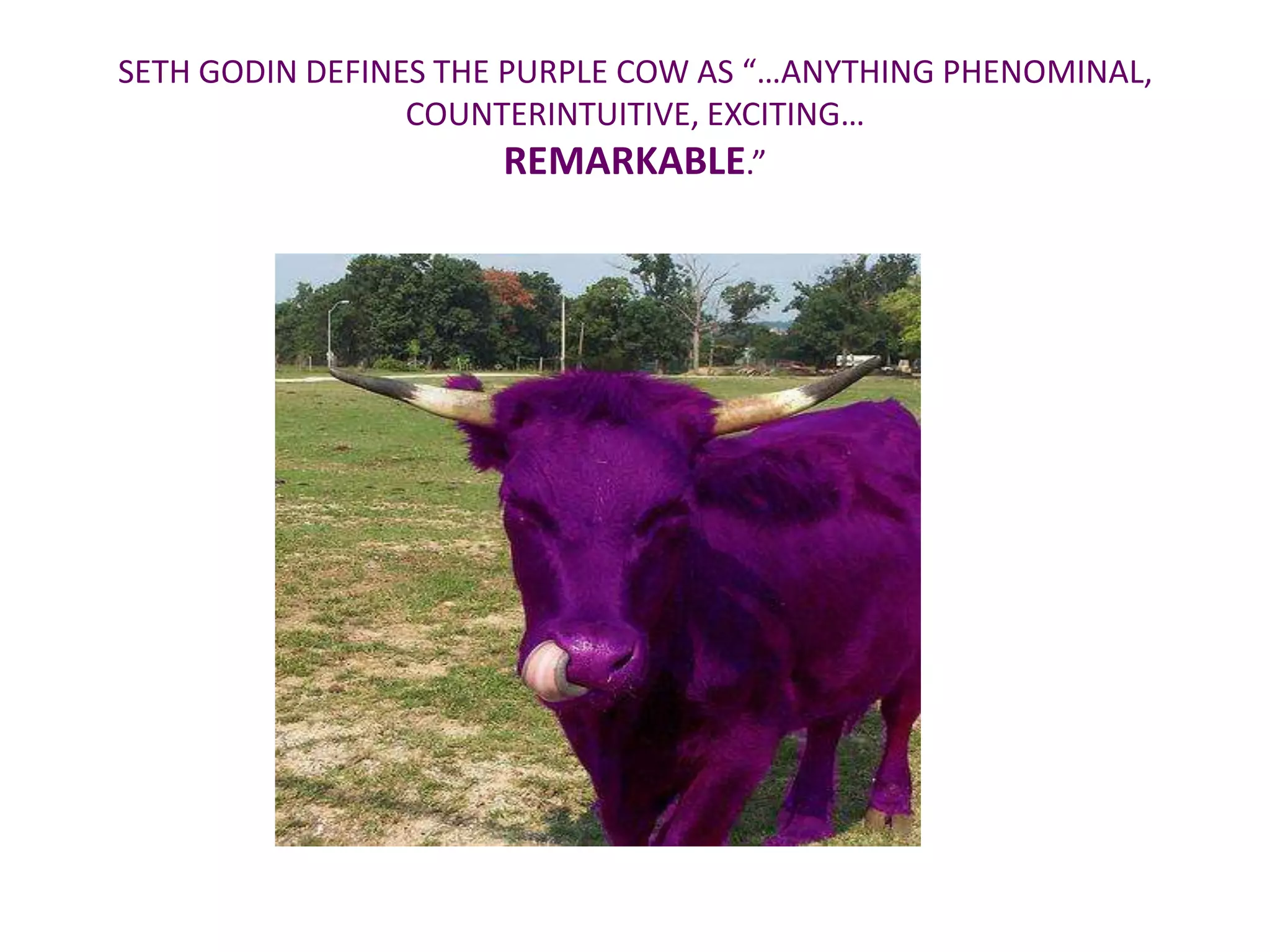 SETH GODIN DEFINES THE PURPLE COW AS “…ANYTHING PHENOMINAL,
                 COUNTERINTUITIVE, EXCITING…
                       REMARKABLE.”
 