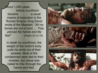 About 1,000 years
before crucifixion
became
a usual
means of execution in the
Roman Empire, King David
wrote of the Messiah: "All my
bones are out of joint. ... They
pierced My hands and My
feet"
(Psalm 22:14,16).
In death by crucifixion, the
weight of the victim's body
pulls his arms out of their
sockets. Most of the
condemned were tied to their
crosses, but Jesus was
nailed to His--through the
hands and feet.

 