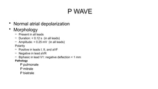 THE ECG 2025, physiological understanding | PPTX