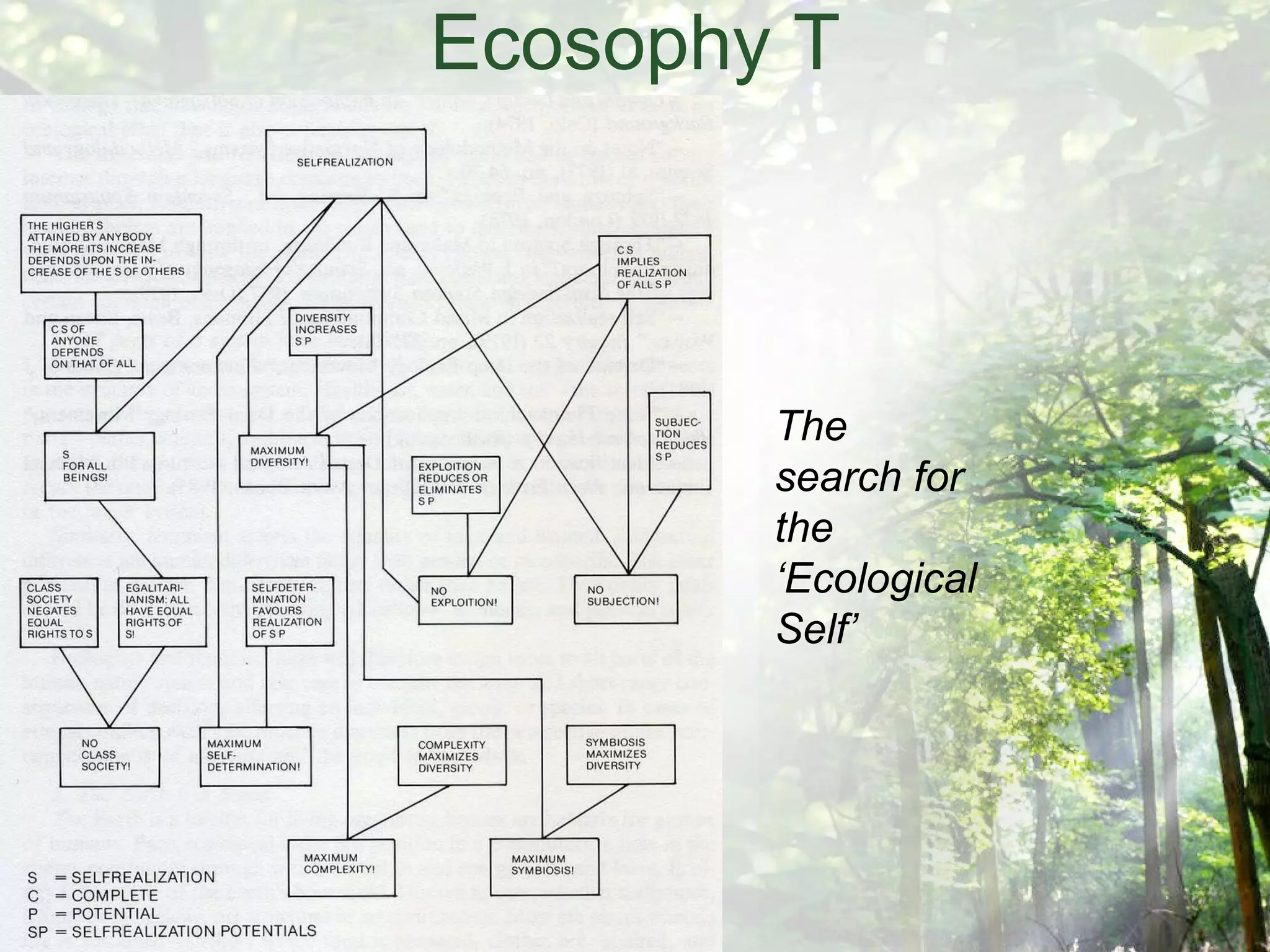 Ecosophy T The search for the ‘Ecological Self’ 