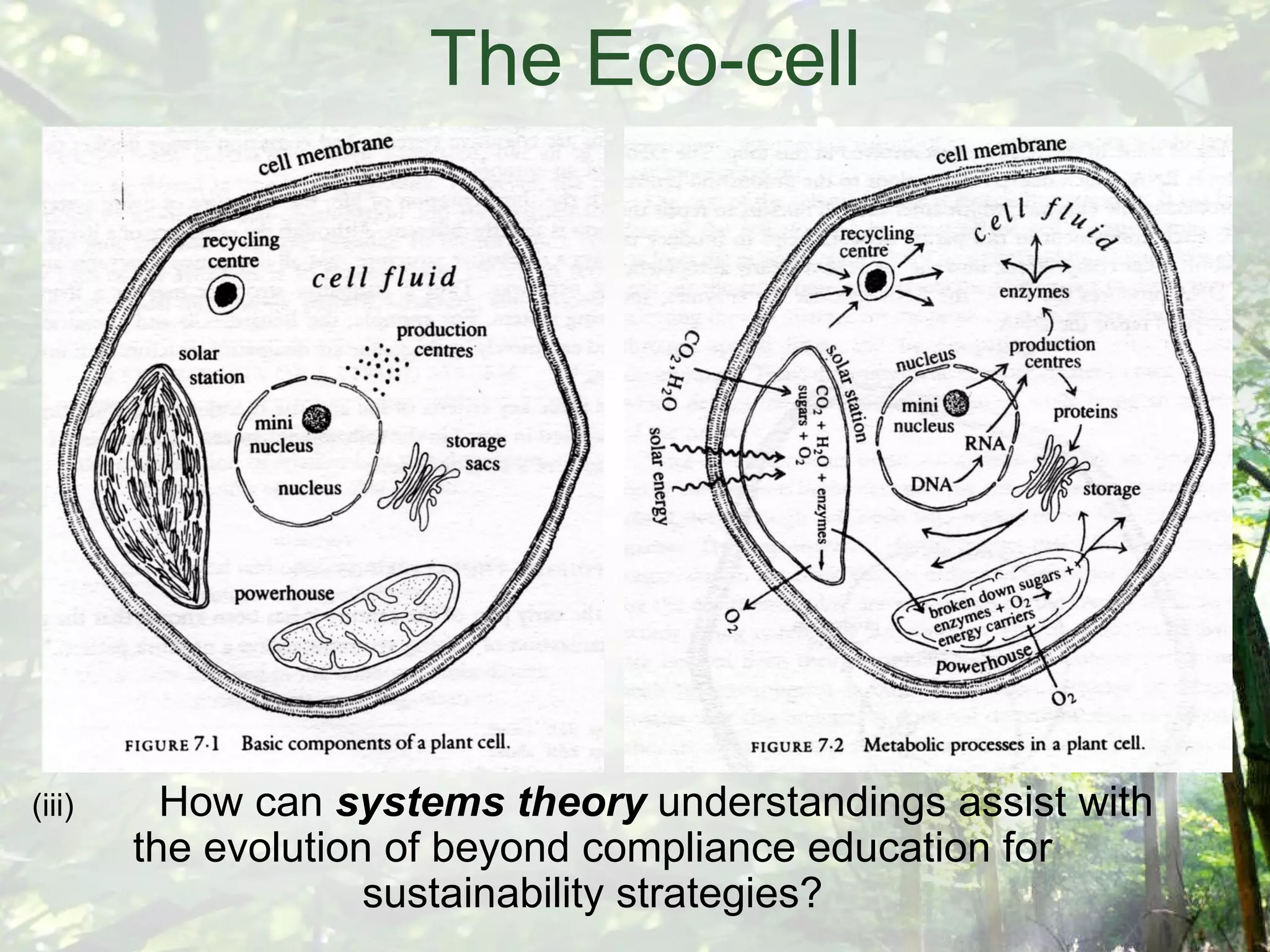 The Eco-cell  (iii) How can  systems theory  understandings assist with the evolution of beyond compliance education for sustainability strategies? 