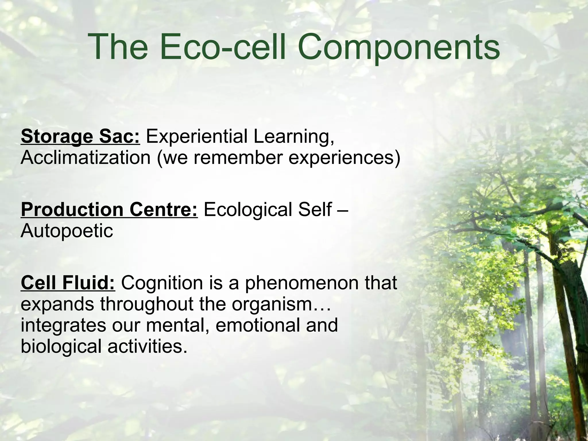 The Eco-cell Components Storage Sac:  Experiential Learning, Acclimatization (we remember experiences) Production Centre:  Ecological Self –Autopoetic Cell Fluid:  Cognition is a phenomenon that expands throughout the organism…integrates our mental, emotional and biological activities. 