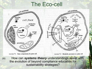 The Eco-cell  (iii) How can  systems theory  understandings assist with the evolution of beyond compliance education for sustainability strategies? 