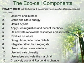 The Eco-cell Components Powerhouse:   Self-Sufficiency & Cooperation (permaculture Design principles) ecosystem 1. Observe and interact 2. Catch and Store energy 3. Obtain A yield 4. Apply Self-regulation and accept feedback 5. Us and vale renewable resources and services 6. Produce no waste 7. Design from patterns to Details 8. Integrate rather than segregate 9. Use small and slow solutions 10. Use and vale diversity 11. Use edges and vale the marginal 12. Creatively use and Respond to change 