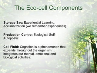 The Eco-cell Components Storage Sac:  Experiential Learning, Acclimatization (we remember experiences) Production Centre:  Ecological Self –Autopoetic Cell Fluid:  Cognition is a phenomenon that expands throughout the organism…integrates our mental, emotional and biological activities. 