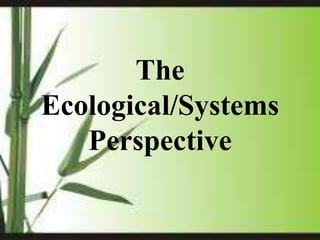 The
Ecological/Systems
Perspective
 