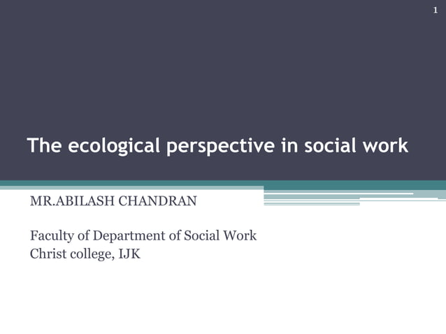 The Ecological Perspective In Social Work