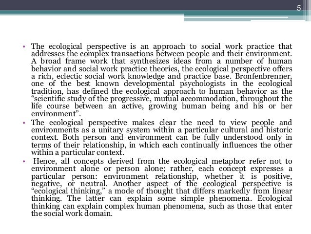 The Ecological Perspective In Social Work