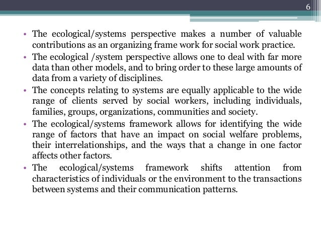 what is an ecological perspective in social work