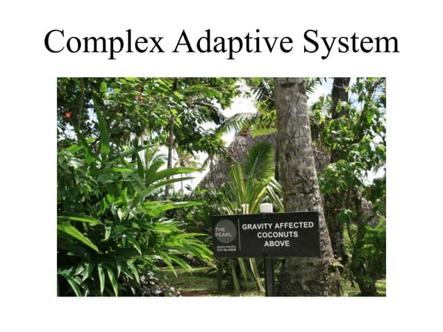 The ecology of distributed education | PPT