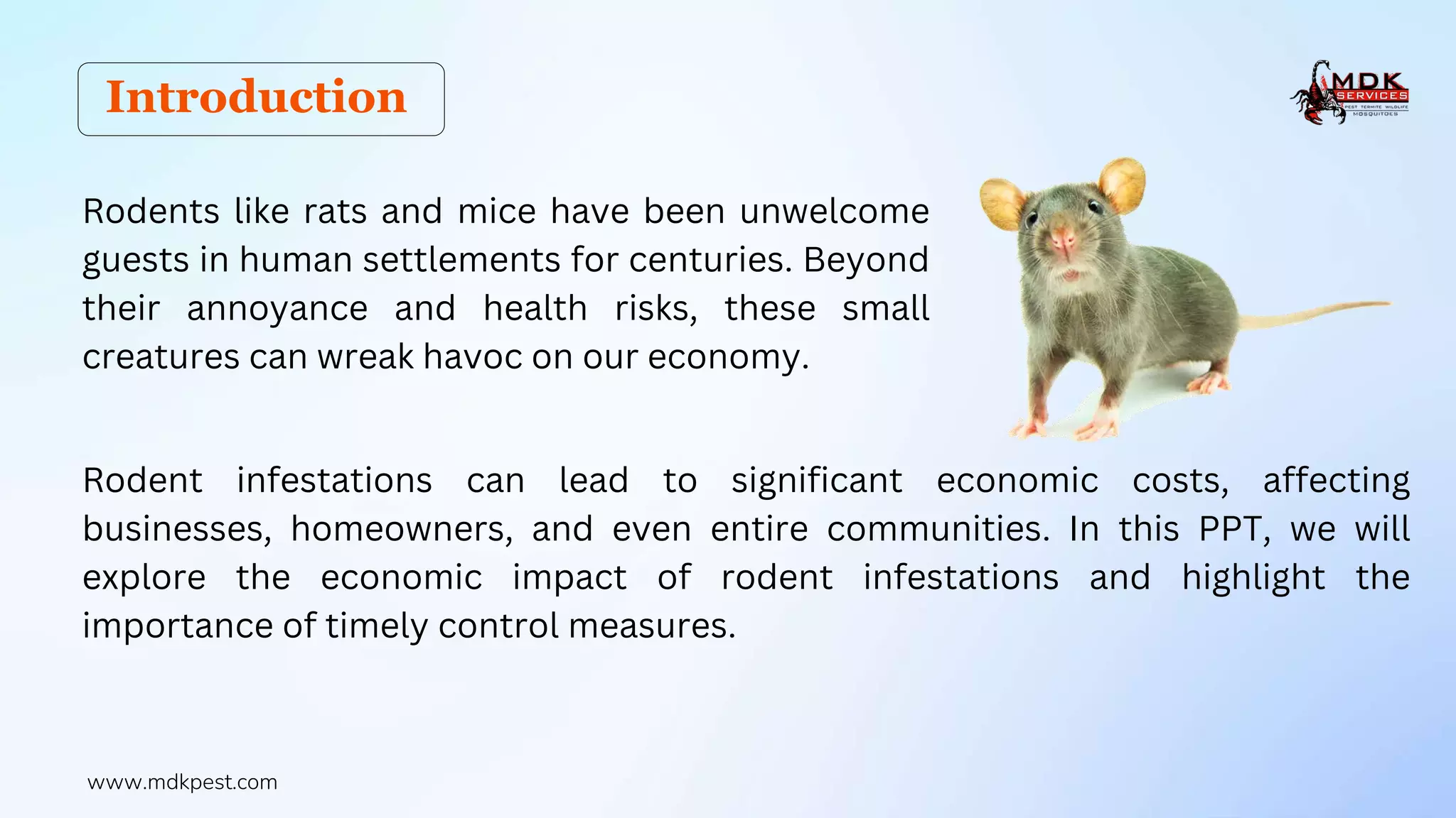 Ekonomikong Epekto ng Pest Infestation sa Ari-arian at Negosyo